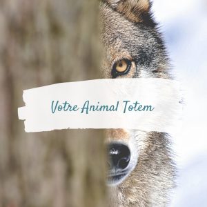 Animal Totem | Chamane Urbaine